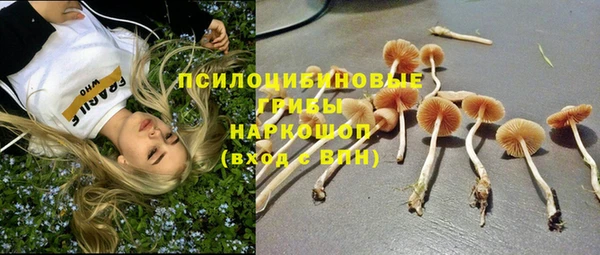 прущая мука Белокуриха