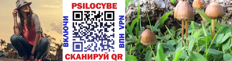 Псилоцибиновые грибы ЛСД  blacksprut сайт  Волжск  где купить наркоту 