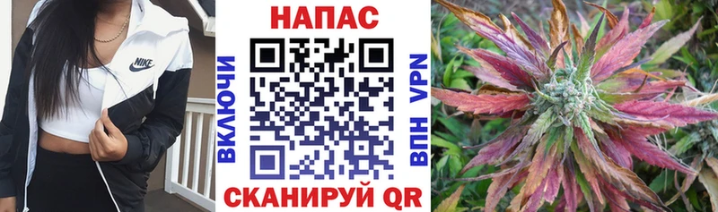 Шишки марихуана гибрид  как найти наркотики  Волжск 